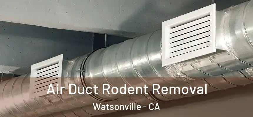 Air Duct Rodent Removal Watsonville - CA