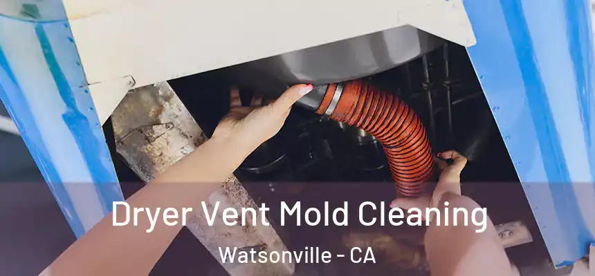 Dryer Vent Mold Cleaning Watsonville - CA