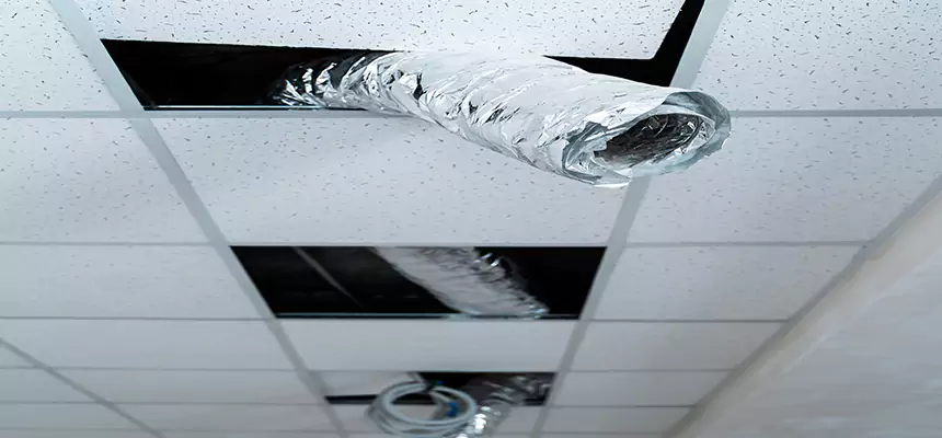 Our Air Duct Pet Hair Removal Services in Watsonville, CA