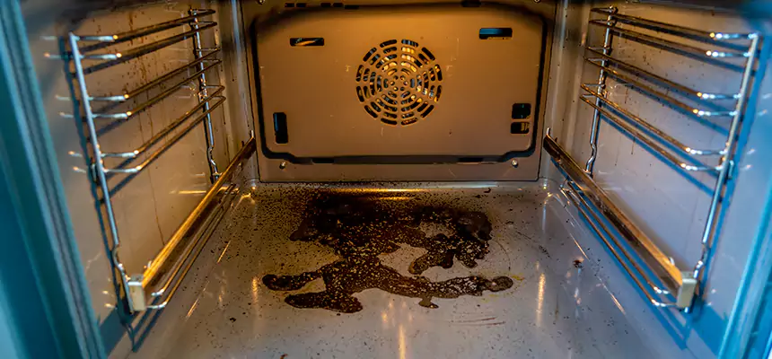 Our Dryer Vent Mold Cleaning Services in Watsonville, CA