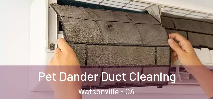Pet Dander Duct Cleaning Watsonville - CA