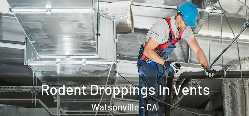  Rodent Droppings In Vents Watsonville - CA