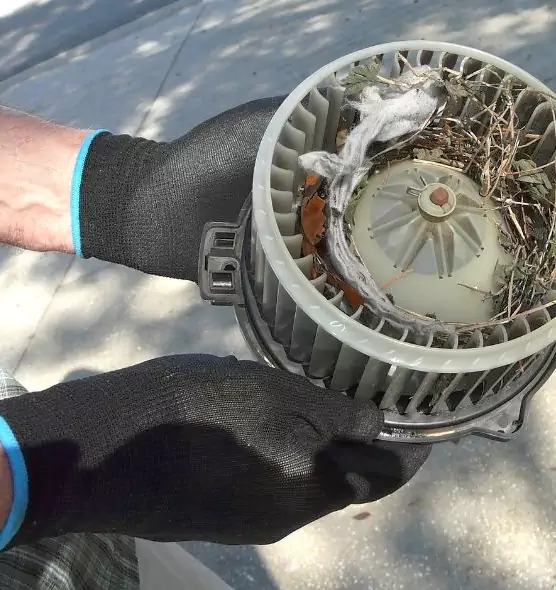 About Air Duct Mice Removal in Watsonville, CA