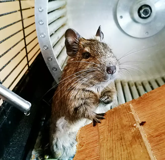 Why Homeowners & Businesses Trust Us Watsonville, CA