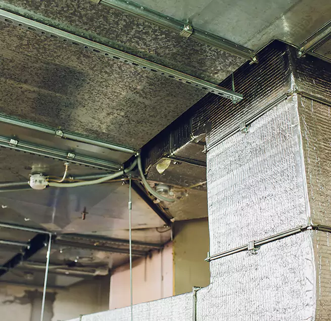 Why Homeowners & Businesses Trust Us in Watsonville, CA?