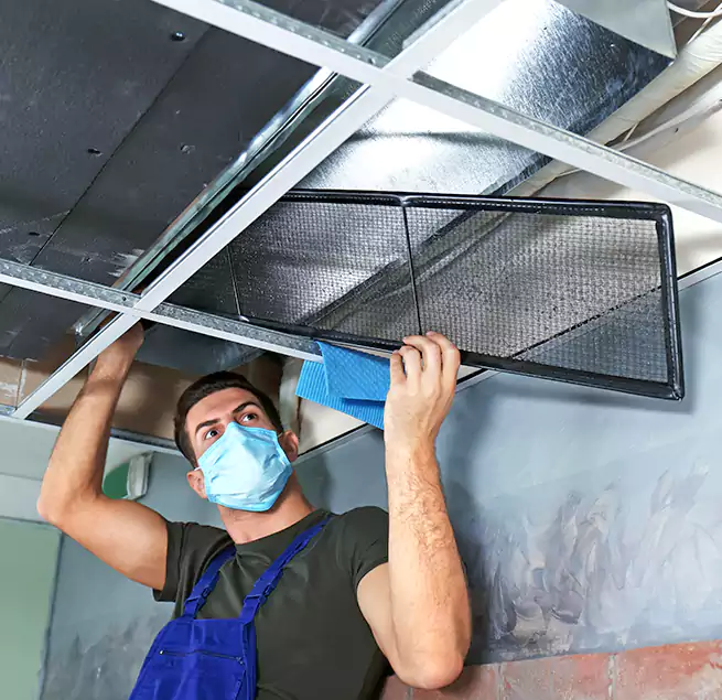 Why Homeowners Businesses Trust Us in Watsonville, CA